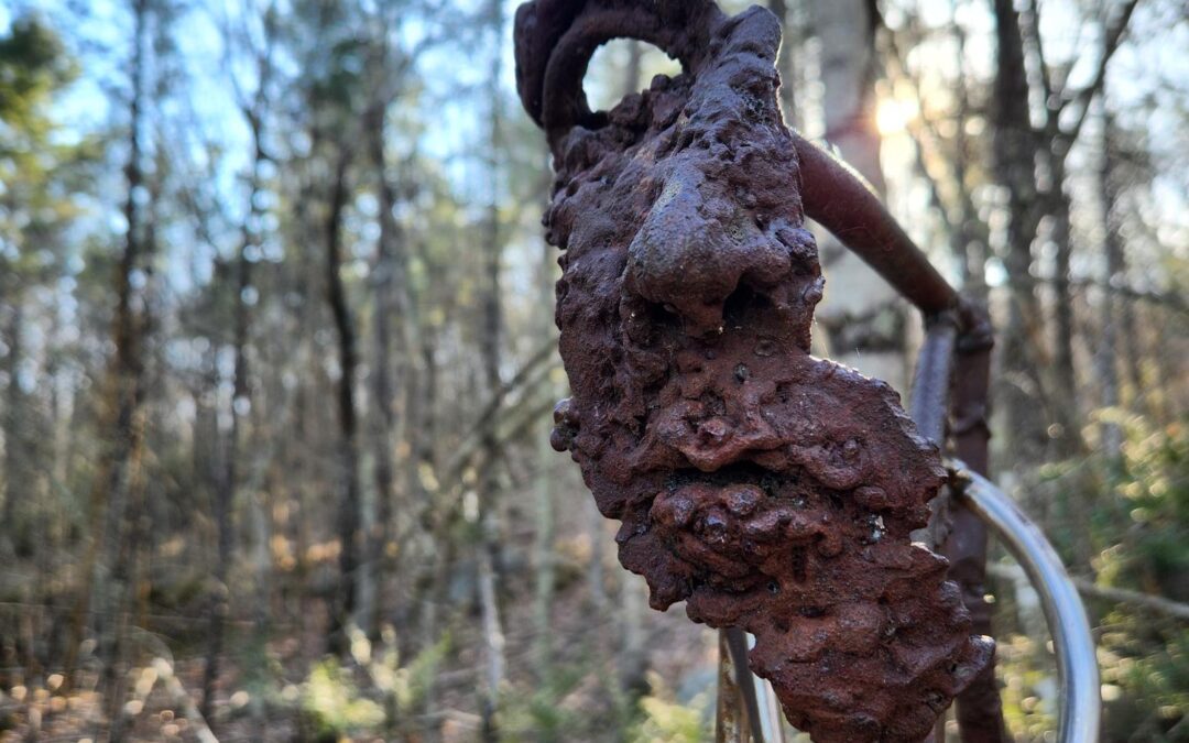 International Sculpture Day Guided Hike