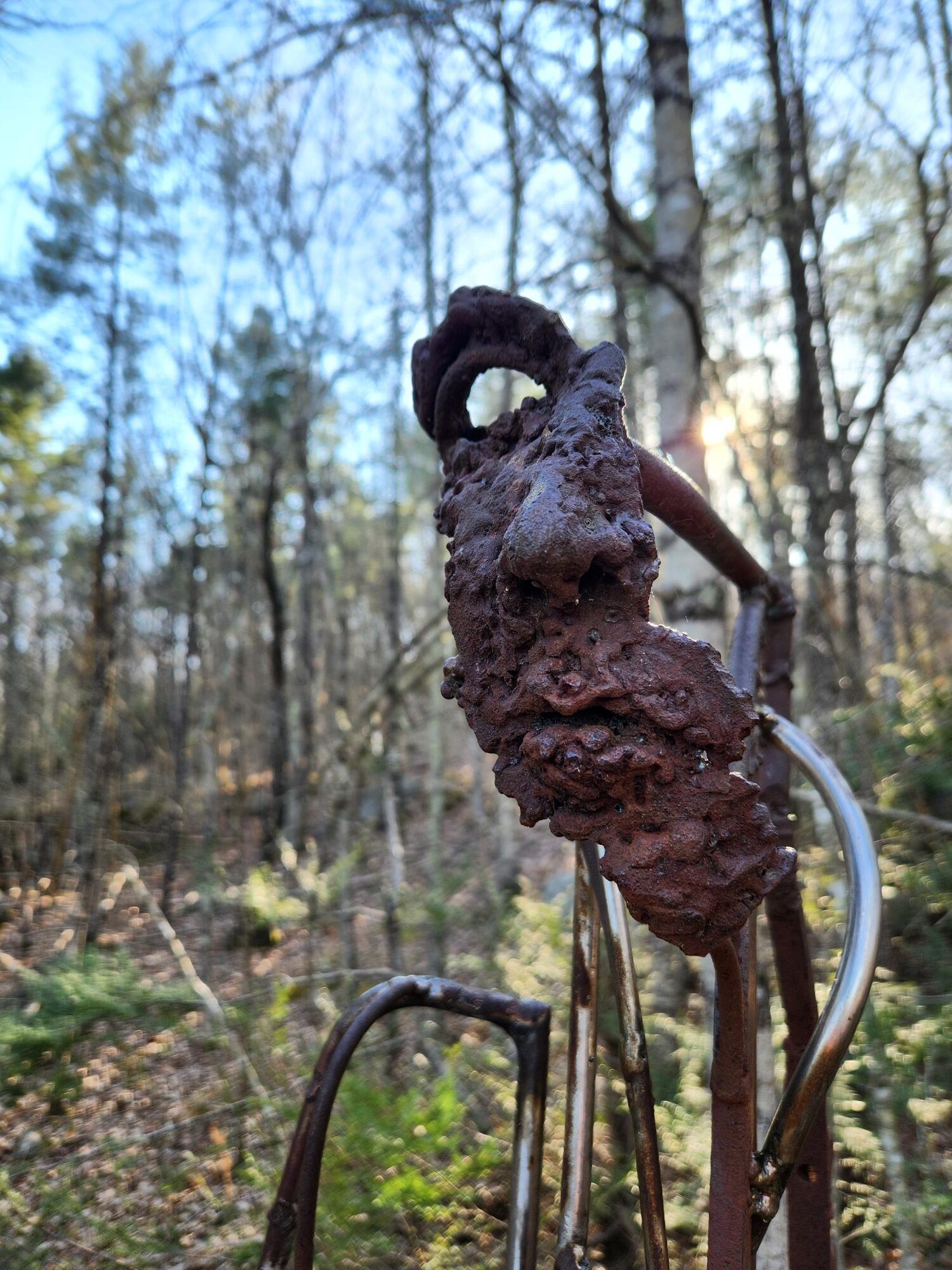 International Sculpture Day Guided Hike