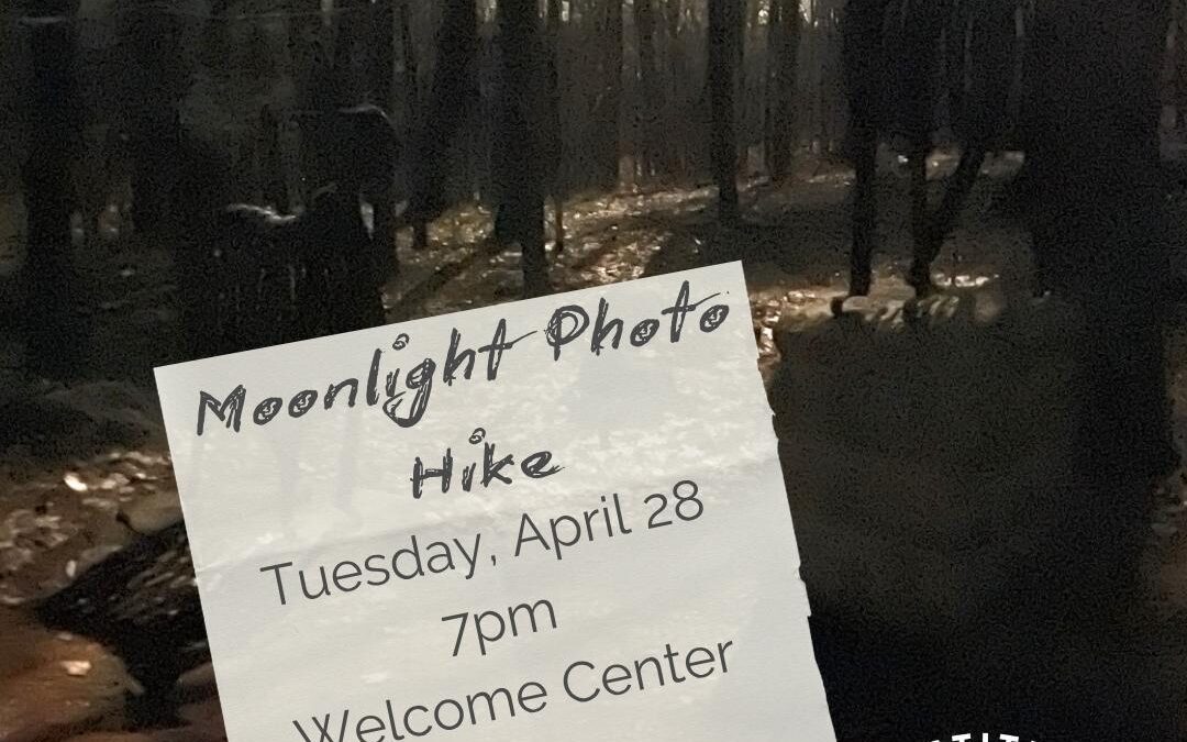 Moonlight Sculpture Photo Hike
