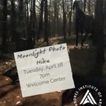 Moonlight Sculpture Photo Hike