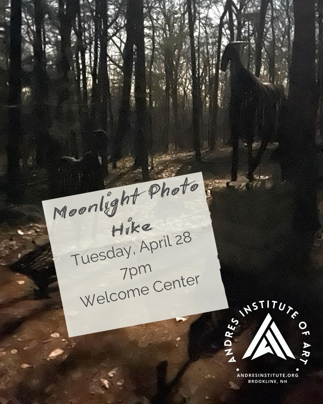 Moonlight Sculpture Photo Hike