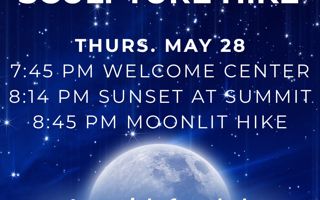 Guided Moonlit Sculpture
